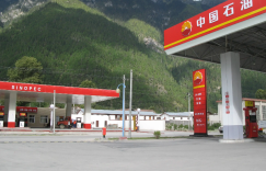 <strong>数字化再升级 国企中粤信通率先响应</strong>